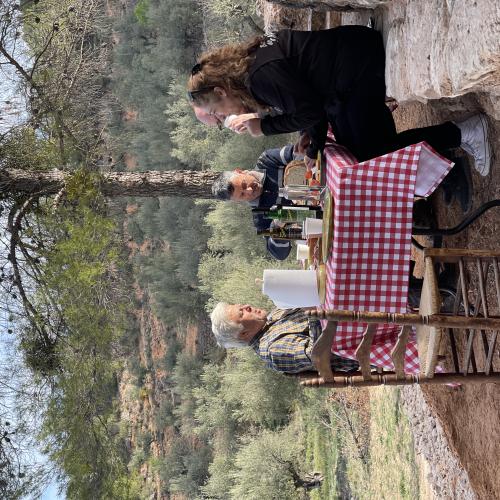 Esmorzar de pagès entre oliveres + visita al molí i tast d'olis