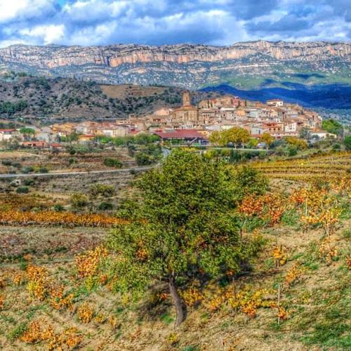 SOLSTICE 2023: VINEYARD WALK + SUNSET WINE TASTING, 20-23 JUNE
