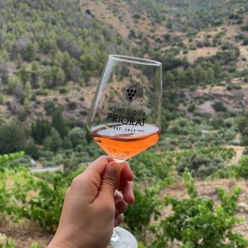 Observació astronòmica i tast de vins al cor del Priorat