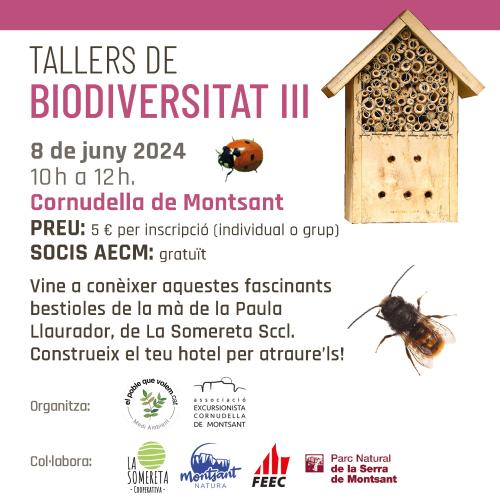 Taller d’insectes i plantes aromàtiques (Tallers de biodiversitat III)