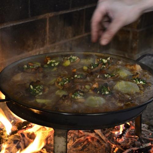 GREEN-PRUNING VINES AND EATING PAELLA IN PRIORAT