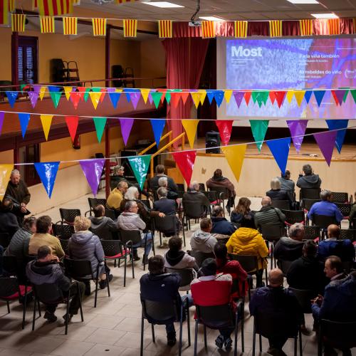 Most Festival Internacional de Cinema del Vi 