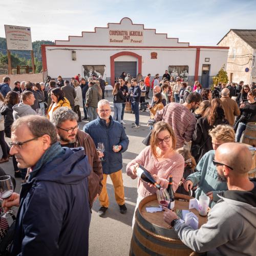 Most Festival Internacional de Cinema del Vi 