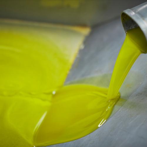 Vine a tastar l’oli del raig d’Ulldemolins!