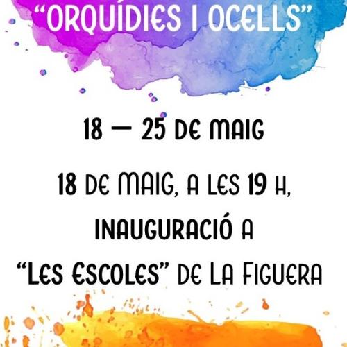 EXPOSICIÓ FOTOGRÀFICA “ORQUÍDIES I OCELLS”