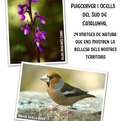 EXPOSICIÓ FOTOGRÀFICA “ORQUÍDIES I OCELLS”