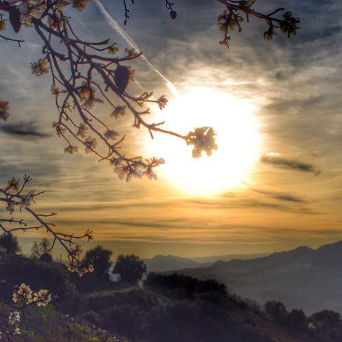 SOLSTICE 2023: VINEYARD WALK + SUNSET WINE TASTING, 20-23 JUNE