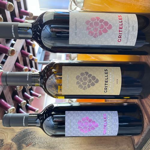 Tast de Vins Nous i Vins de Barrica