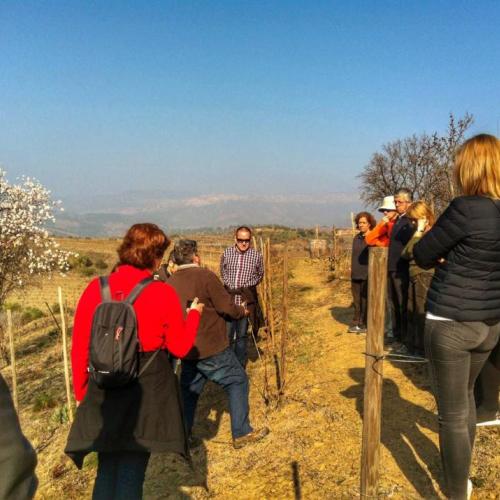 Taller de poda de vinya i calçotada al Priorat