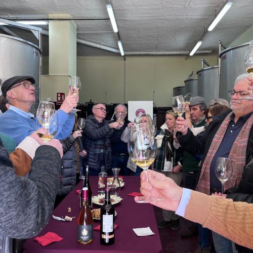Immersió als Vins del Montsant Nord