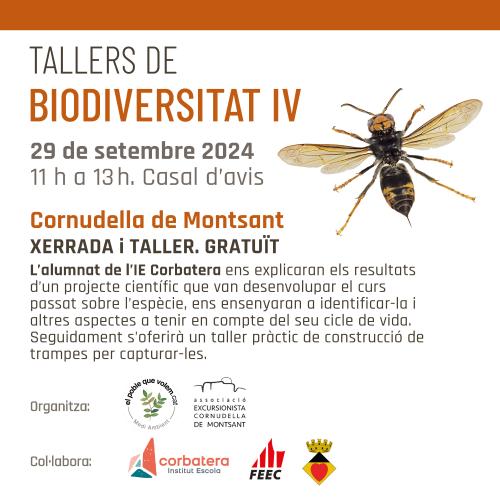 Tallers de biodiversitat IV: La vespa asiàtica
