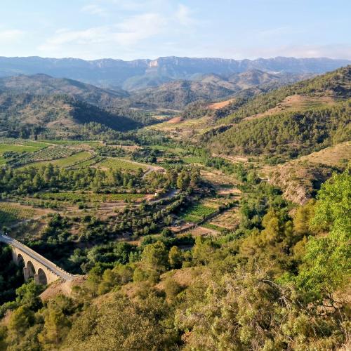 Mirador de Torroja del Priorat, sortida interpretativa 13 de juny