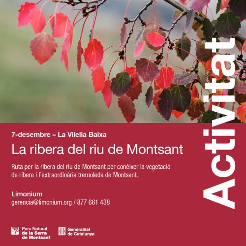 La ribera del riu de Montsant
