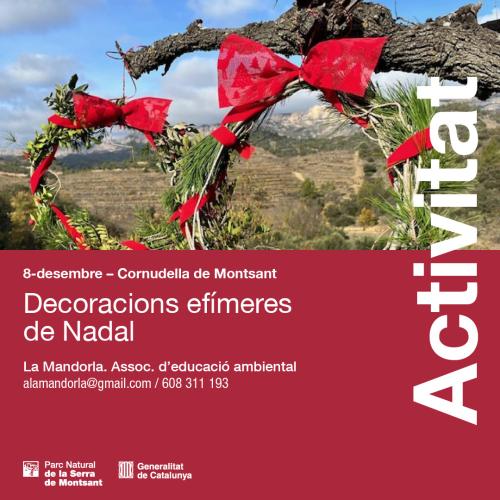 Decoracions efímeres de Nadal