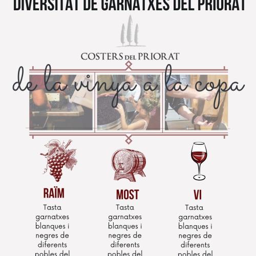 DIVERSITAT DE GARNATXES DEL PRIORAT