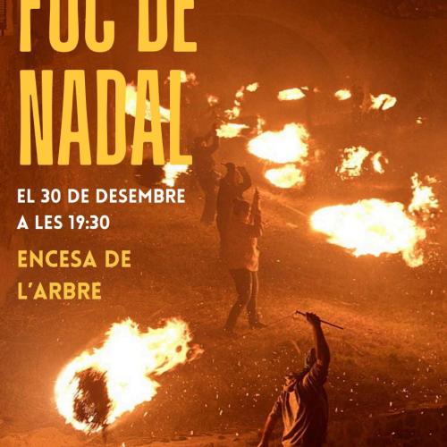 Foc de Nadal, encesa de l'Arbre.