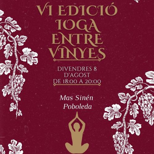 VI edició de Ioga entre vinyes
