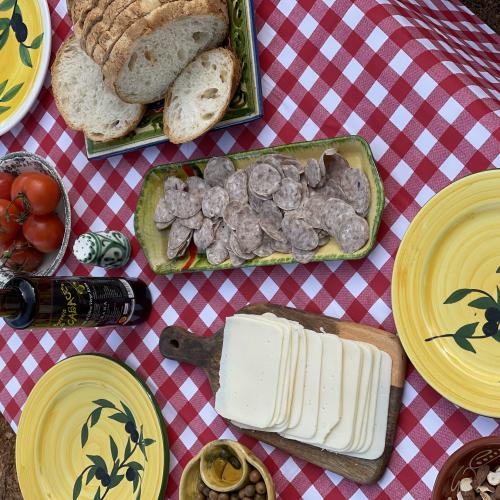 Vine a collir olives! Esmorzar i visita entre oliveres + visita al molí i tast d’olis