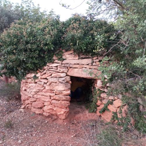 Ruta de la pedra seca Les Taules de Capçanes