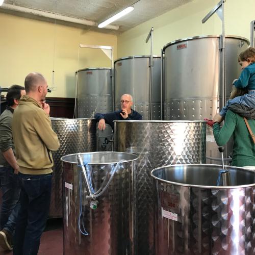 Immersió als Vins del Montsant Nord