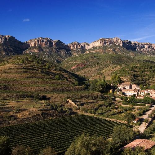 "Mindfulness al Priorat"