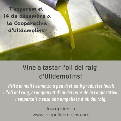 Vine a tastar l’oli del raig d’Ulldemolins!