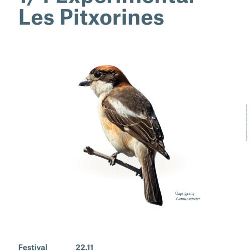 cartell les pitxorines