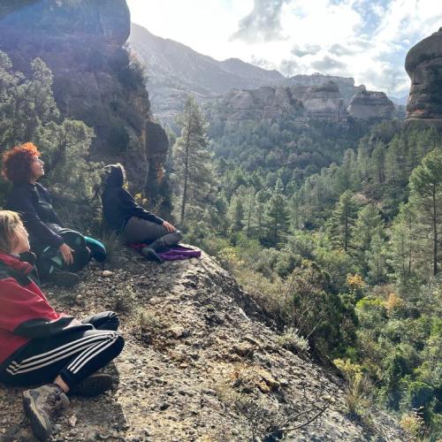 Ser Bosc. Passeig conscient a la natura