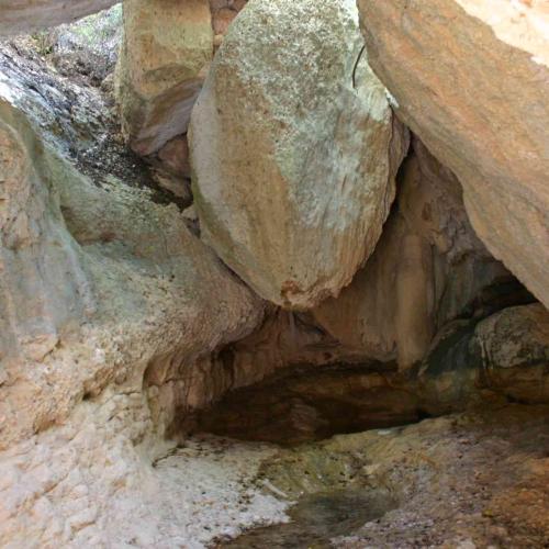 Excursió al sistema del riu de Montsant
