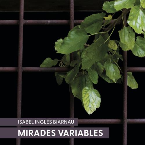 Presentació del llibre d'Isabel Inglès Mirades Variables