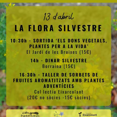 La flora silvestre