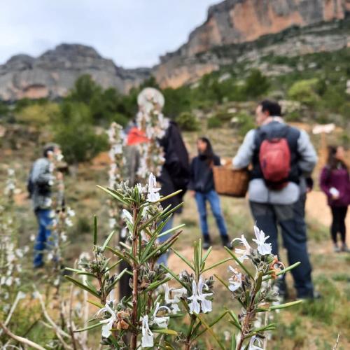 Els dons naturals, plantes per la vida