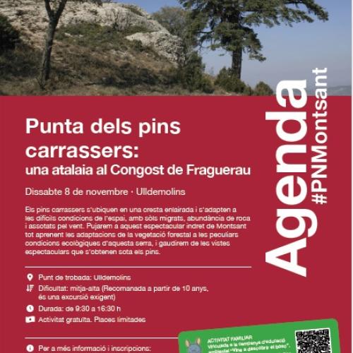 Punta dels pins carrassers: una atalaia al Congost de Fraguerau