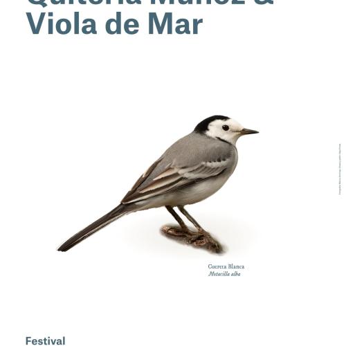 cartell muñoz viola