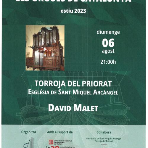 Concert orgue