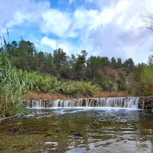Un recorregut en el temps - Excursió guiada 