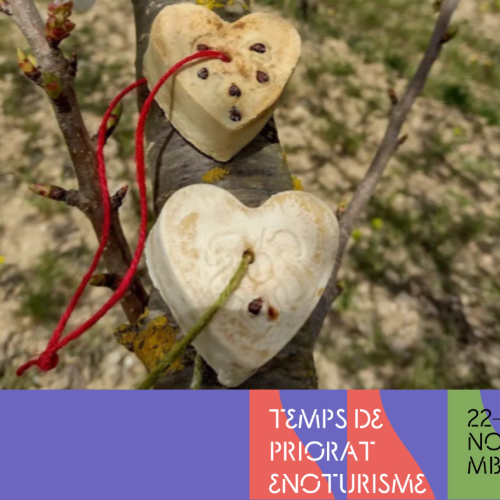 TALLER DE SABONS DE VI I OLI 