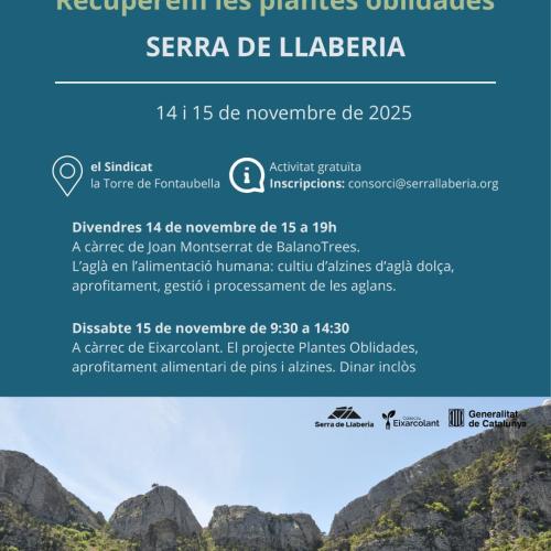 CURS DE MARGES, VINYA I BOSC. Recuperem les plantes oblidades