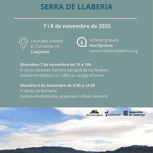 CURS DE MARGES, VINYA I BOSC. Recuperem les plantes oblidades