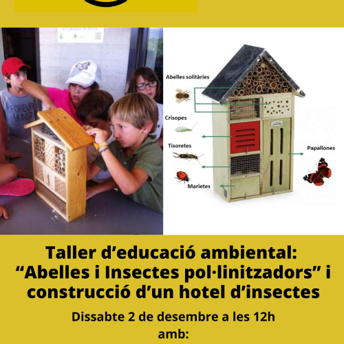 Xerrada Taller per a famílies : Abelles, Insectes pol·linitzadors  i construcció d’Hotels d’insectes  