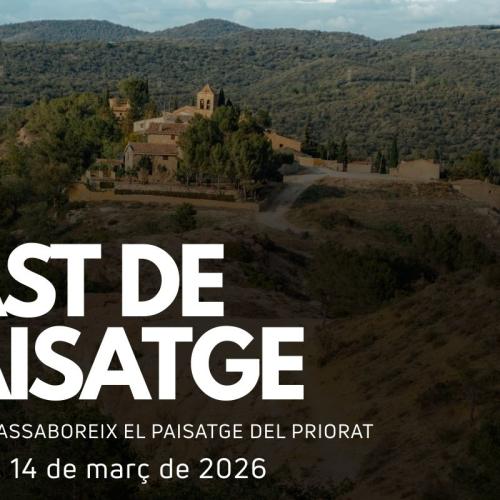 TAST DE PAISATGE DEL PRIORAT
