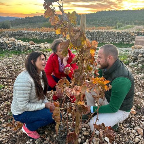 Tast i visita a Vinyes amb Encant