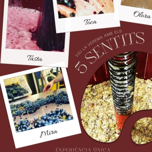 EL PRIORAT EN PLE BULLICI