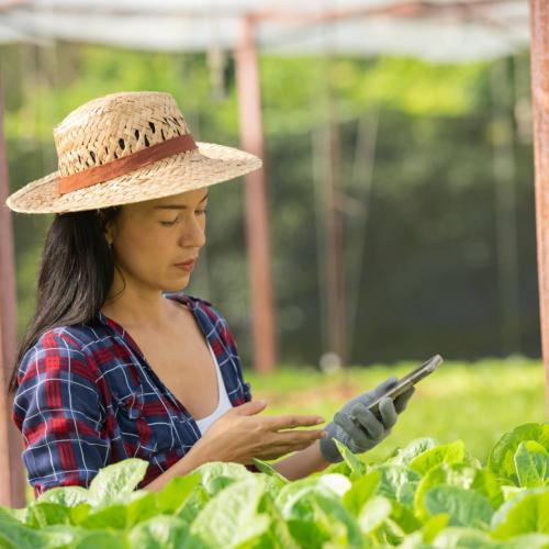 Què necessitem les dones empresàries del món rural?