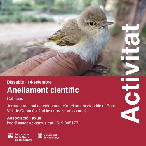 Anellament científic