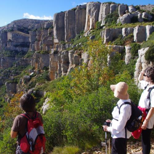 Persones fent una ruta guiada per Montsant